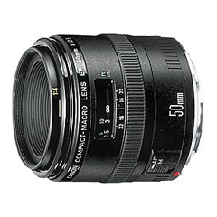 Canon COMPACT-MACRO EF 50mm F2.5｜T320 Writer's Favorite Lens - Canon 50mm f/2.5 Compact Macro