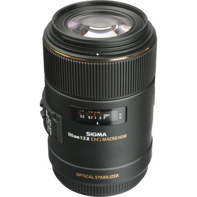 その他 SIGMA 105mm F2.8 EX MACRO/Canon 61A+TRWqrsL._UF350,350_QL50_.jpg