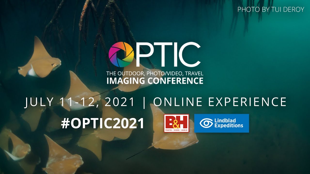 B&H Optic Show Specials Binoculars, LEE Filters, Godox, Memory Canon